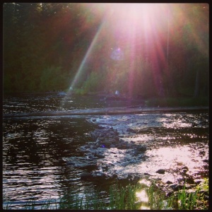 Sunlight on Water